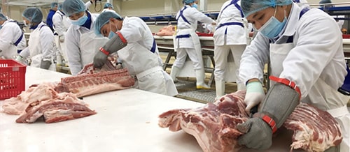 Thực Phẩm Đông Lạnh