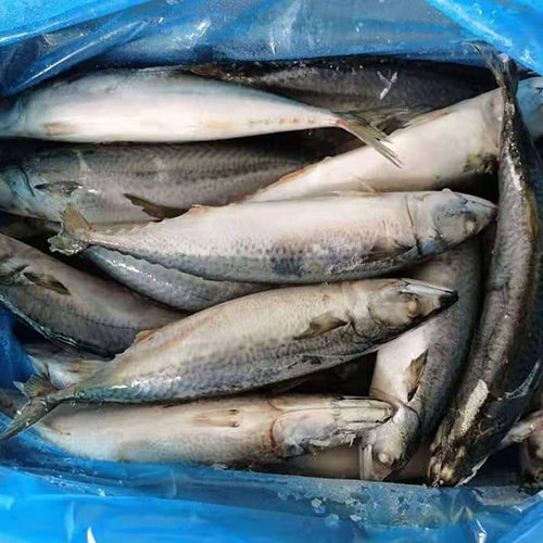 Cá sapa nhật đông lạnh