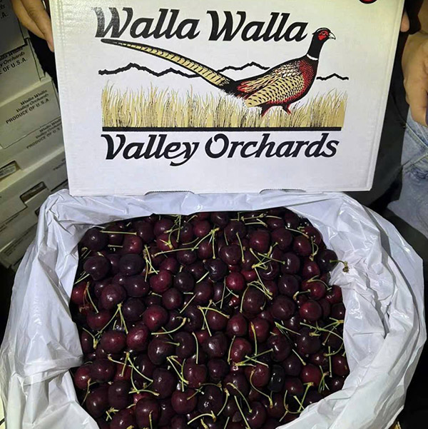 Cherry Walla