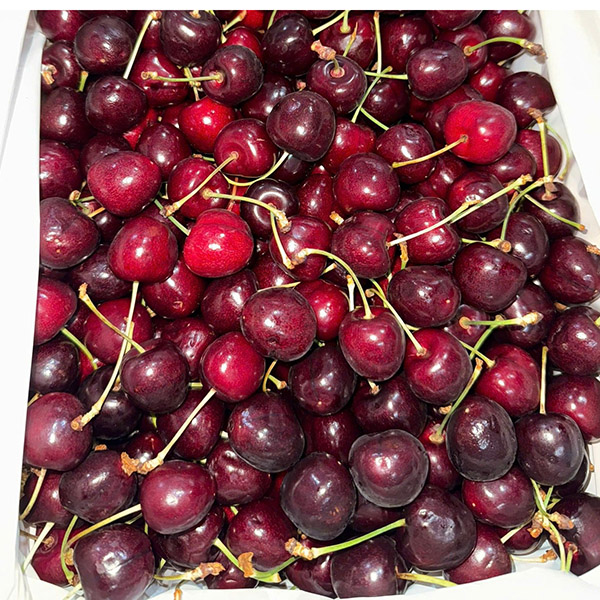 Cherry úc