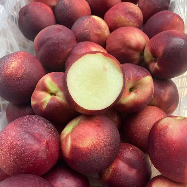 Đào chile rổ 9kg - Bao cứng , giòn