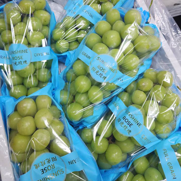 Nho mẫu đơn 6c - Giá 360k Sỉ sl giá siêu tốt