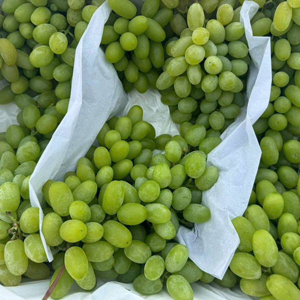 Nho xanh không hạt