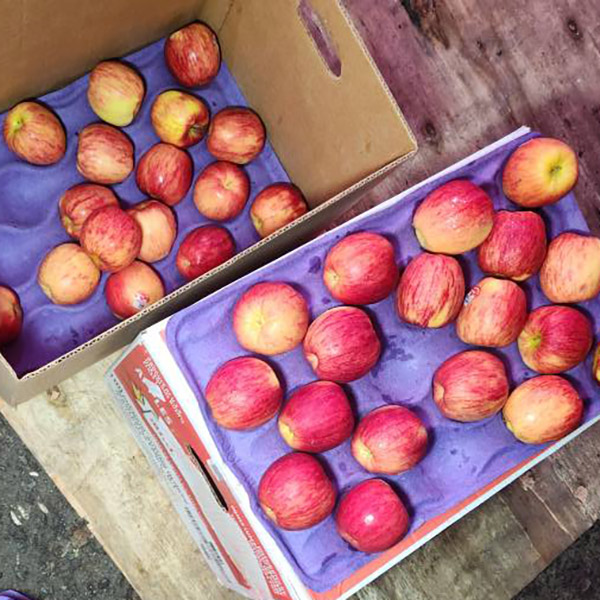 Táo autum 18kg - 450k