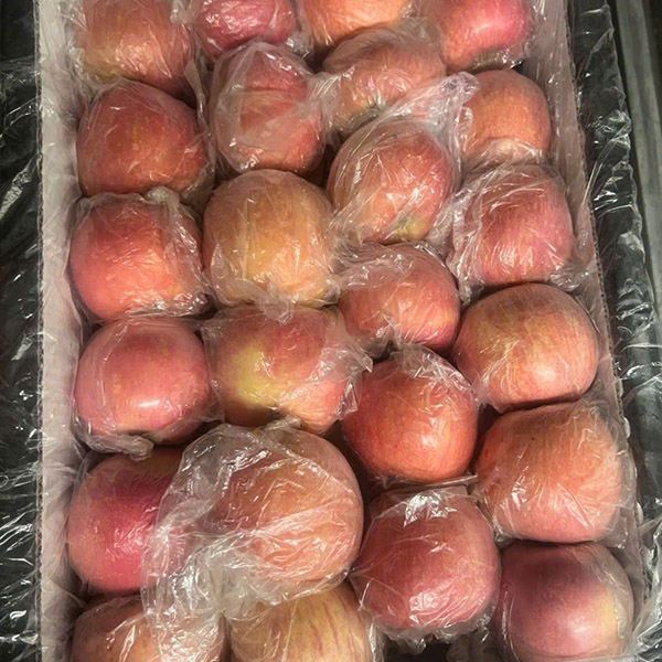 Táo đá rổ 16kg - 250k